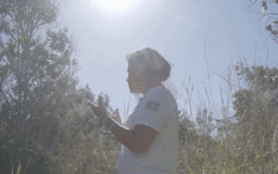 Plantar água, curar a terra: o renascimento do Pindaré na TI Krikati