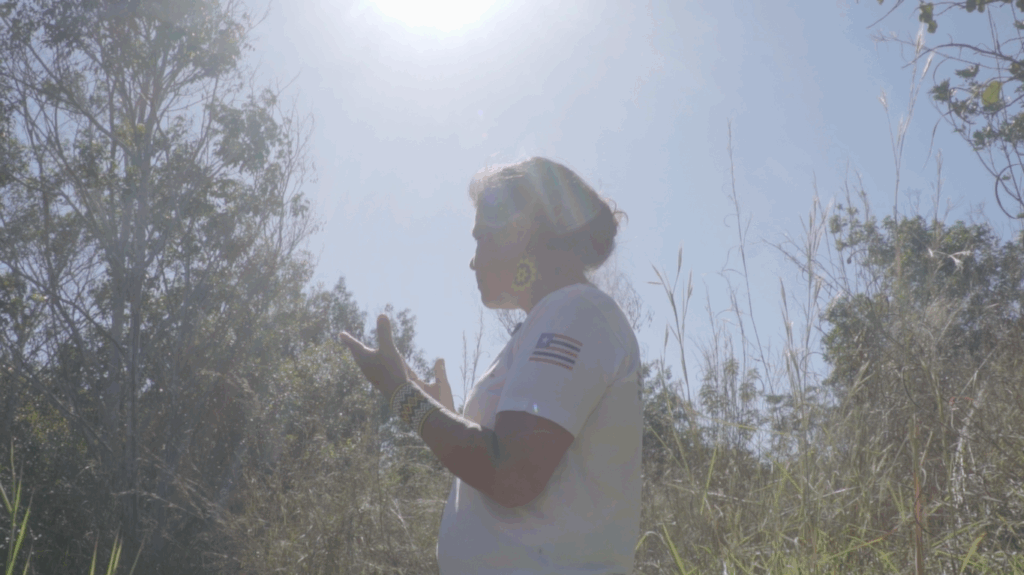 Plantar água, curar a terra: o renascimento do Pindaré na TI Krikati